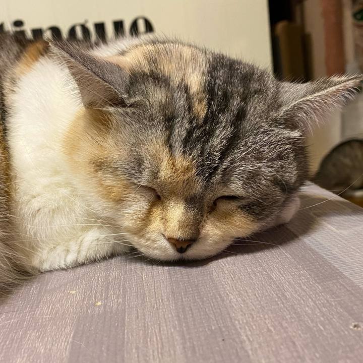 57c9e037 930e 4d20 824d f6568e59aecd 1617973915356