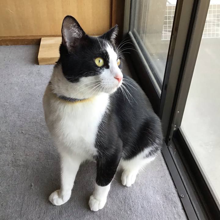 57ca05fe 8afb 4bb0 b1ec e5104512268f 1652519836478