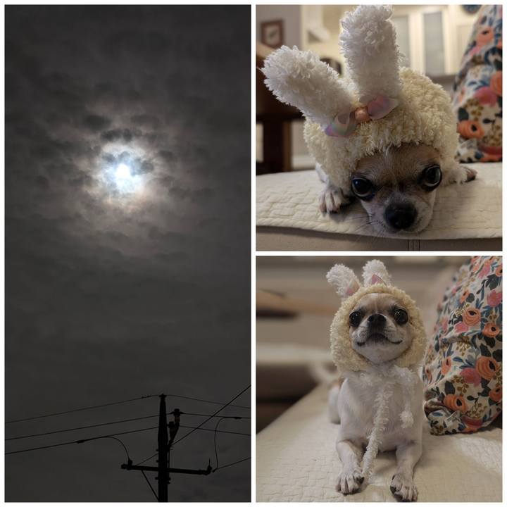 57ca1627 0987 43b8 bc8e 80d3f15611a5 1729163509593