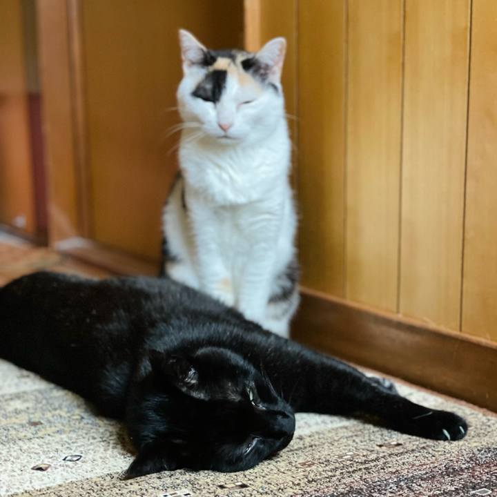 57ca3ba5 fb8d 49fa 8f2b 0941cb34fcff 1654396719673