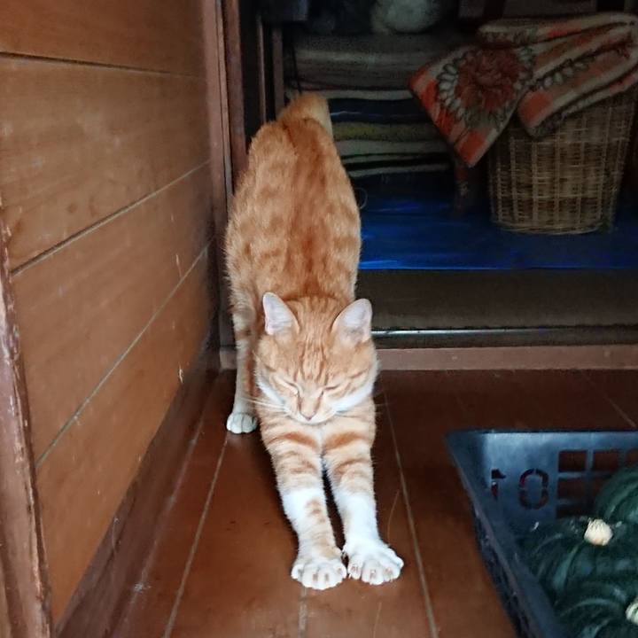 57ca3ee4 4b16 40bc 9e48 a2f387a69228 1565341430847