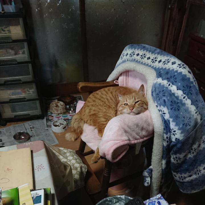 57ca6ec5 6544 4d48 8e1b a521afd36fbc 1651743489170