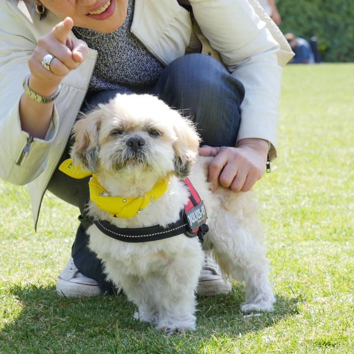 57ca7390 e795 4d3e 84c6 ae31a66cb073 1758714123911