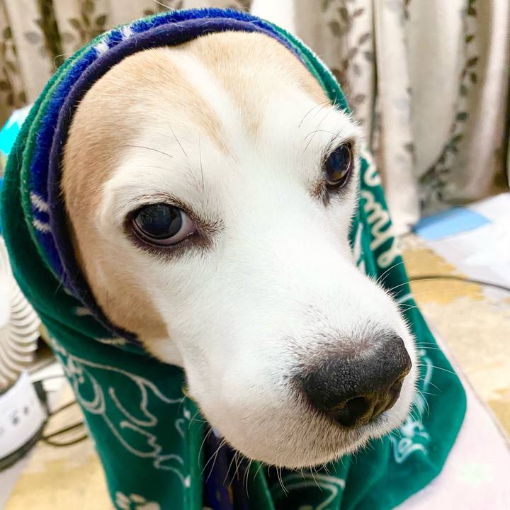 57caa1ed 9e6a 4251 a993 96c192a7db7c 1639453191688