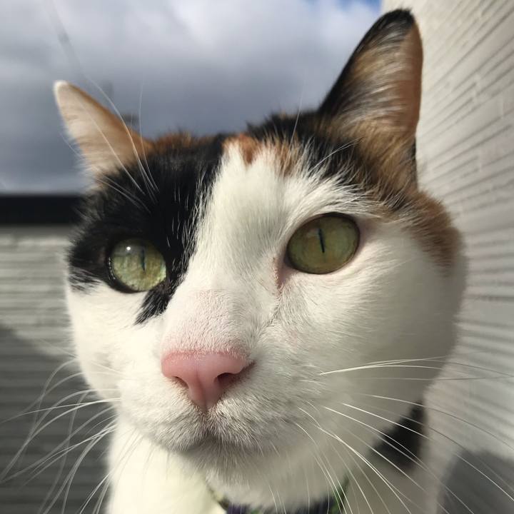 57cab0a2 c396 4113 9fee e4466f5f659c 1544234071684