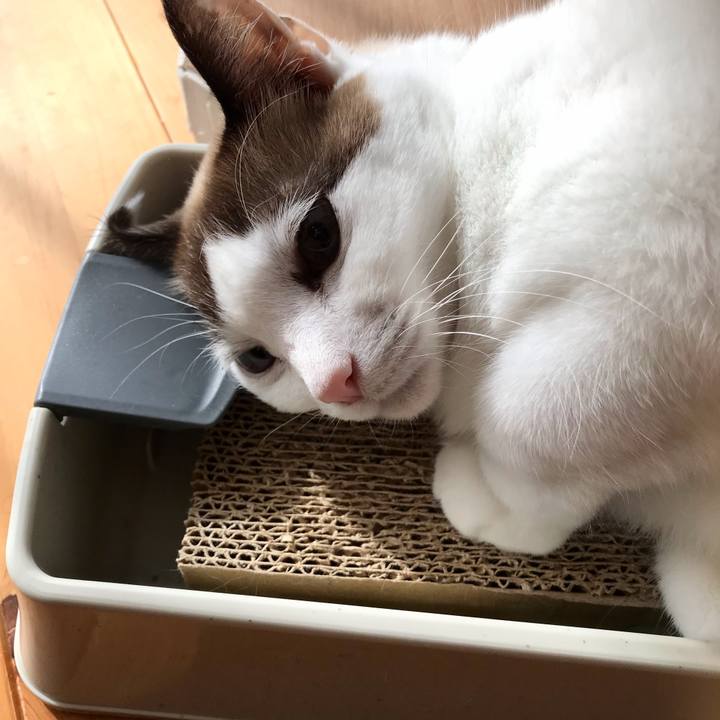 57cab5e0 ba41 4f17 a76e aec1d4b60ee1 1609327530658