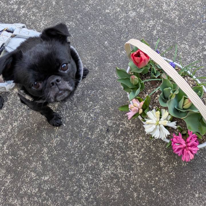 57cad1d6 1e7c 403a bd5a 2ae60de2d784 1773531284316