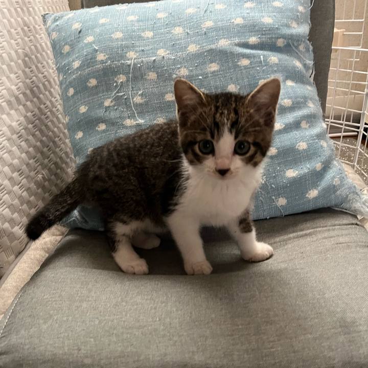 57cb1a8a 86ec 4430 bd3f 2e1dc67ab89e 1766026351415