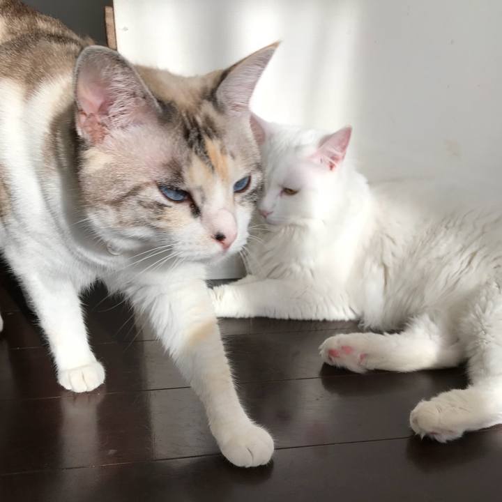 57cb1f18 2d25 4b49 9b98 532f125a913c 1529986022903