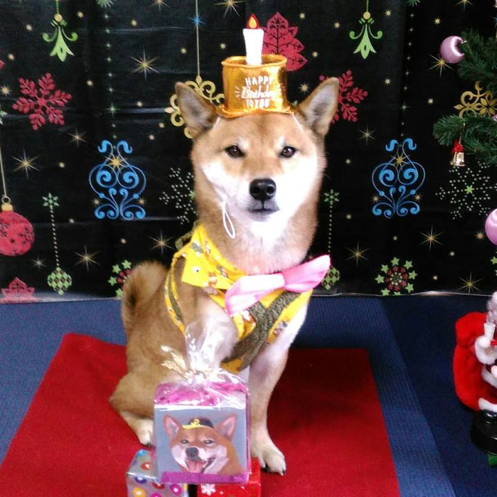 57cb5d4e 4e62 40d5 8630 147ca35ed8fc 1512799440624