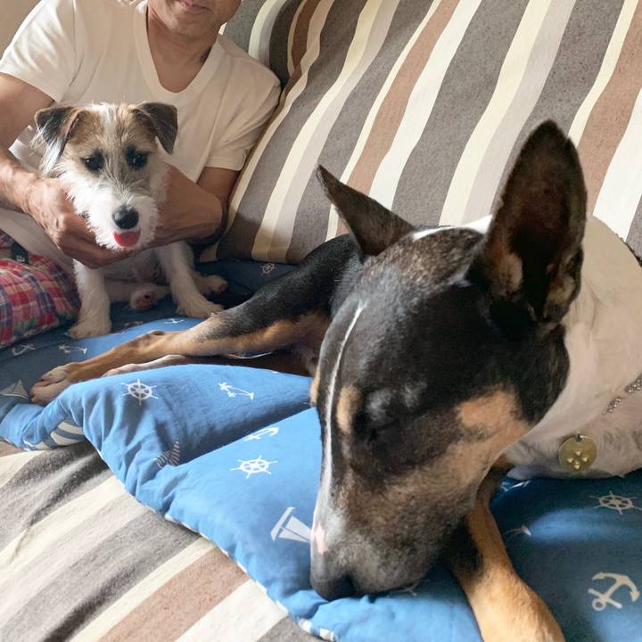 57cbe7f5 466c 468a a5ae d51124675b3c 1566113436186