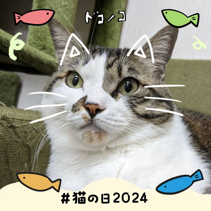 57cc2f14 fcc9 460b 97c0 68b78c42a99b 1708555750117