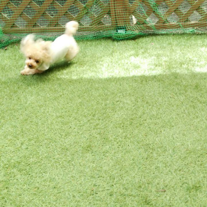 57cc5595 5c47 4dd8 999e 5f05595faab2 1534503104729