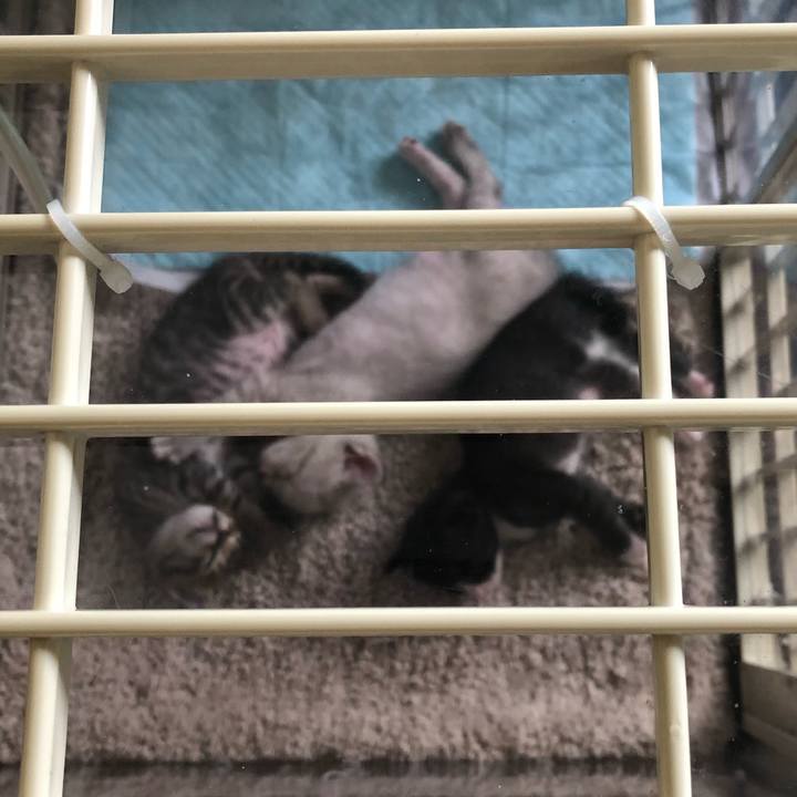 57cc7957 5b49 444e 8a0e 1d650b0672c7 1596721047466