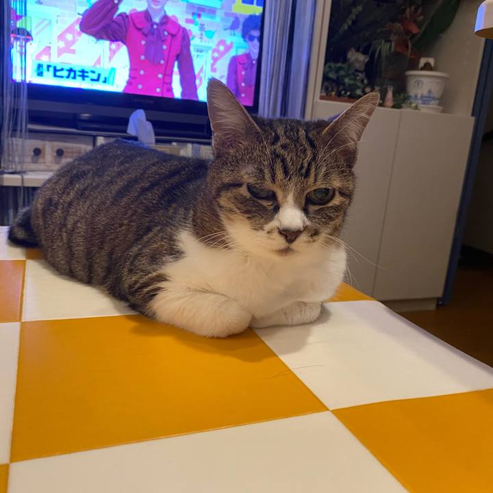 57ccc5e5 301c 4fb5 b369 97a013e053ff 1713737344772