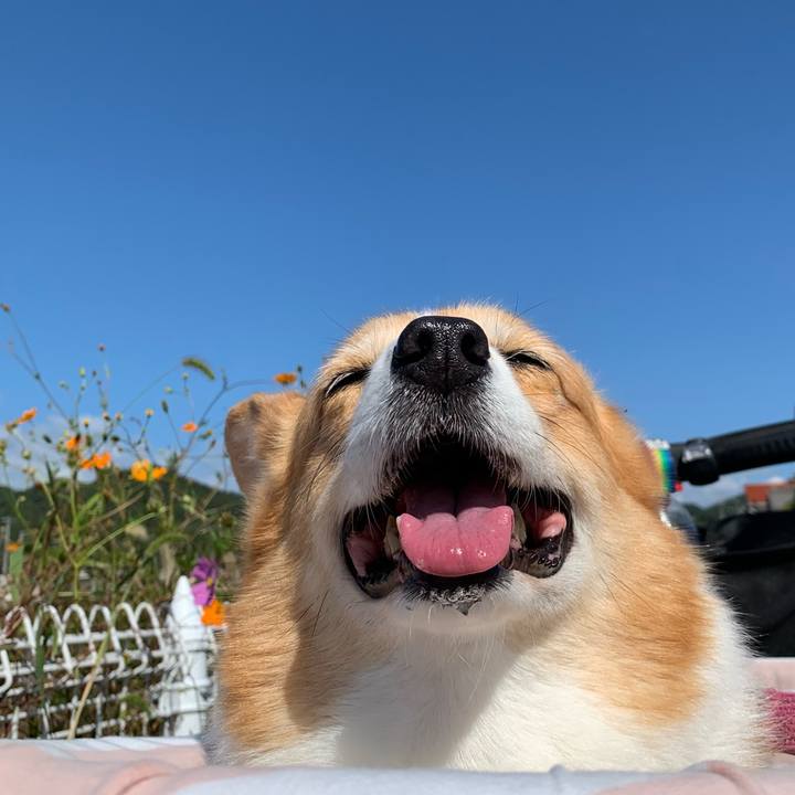 57ccffb7 d98e 4f77 b614 62e35c07d2c8 1696988639730