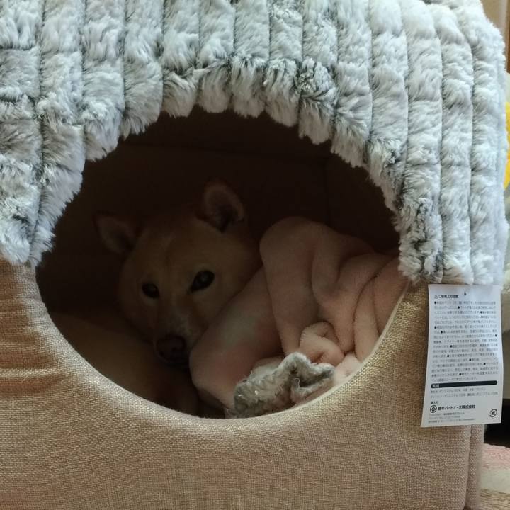 57cd0af6 bd83 42e3 b3d8 184429205435 1579086810171