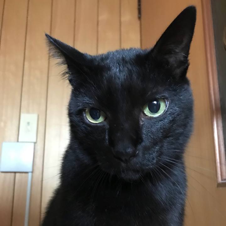 57cd1a58 fcf0 4a19 95ec 33a2bd6a56be 1508546944030