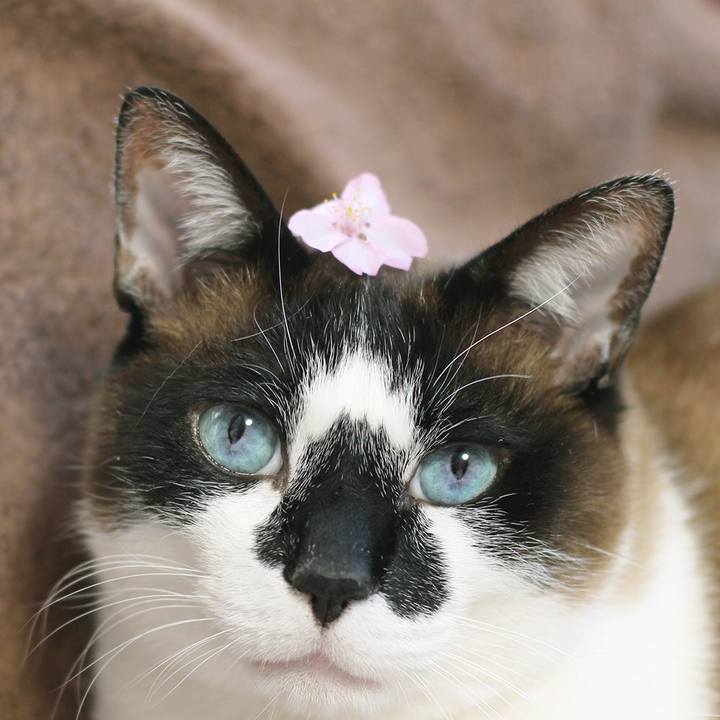 57cd342c 65fa 43e7 a4f2 ca7e9f786a8b 1521772269952