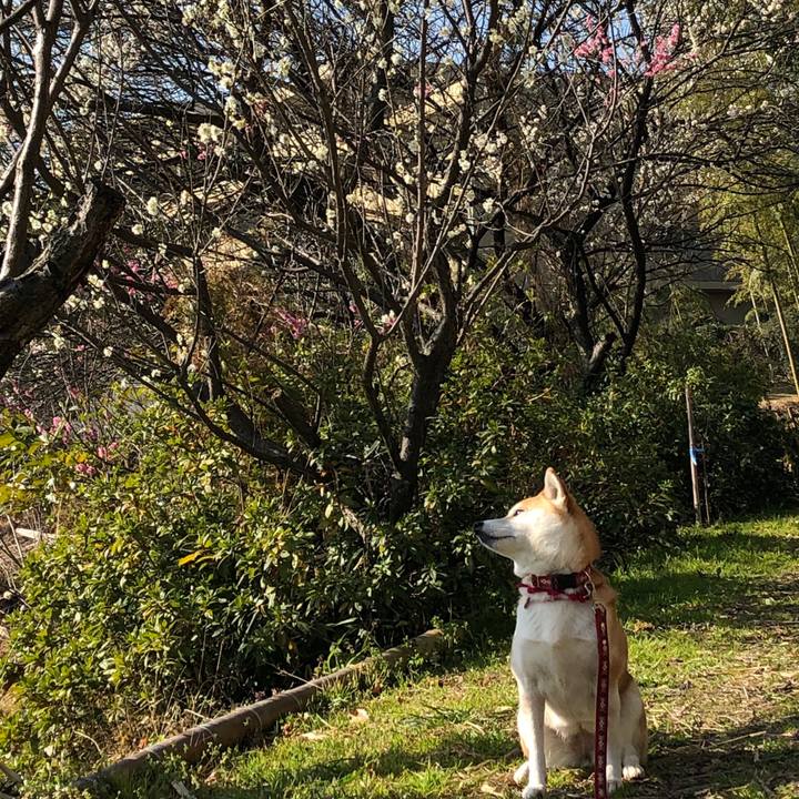 57cd3d79 6a34 475f a39a f3d12dcf9e82 1551151423538