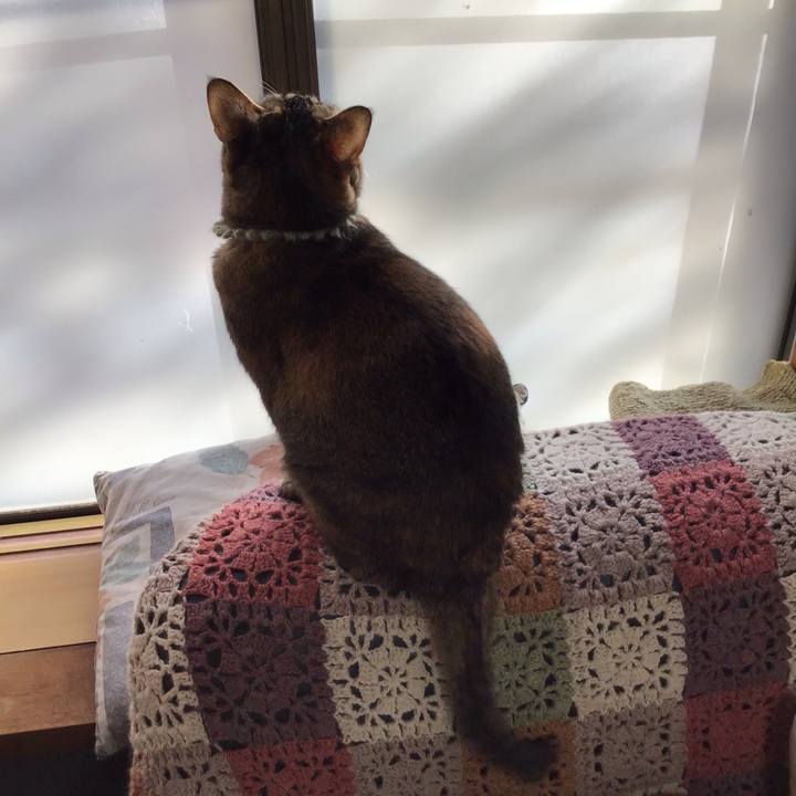 57cd4e15 4895 48ce 809e 35ec05465d01 1641084913934