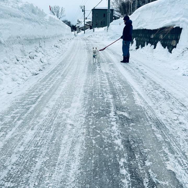 57cd5250 a186 4069 b995 83e27af9ed86 1740607643352