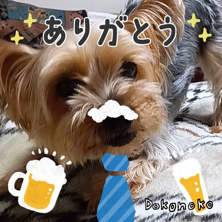 57cd5af3 292e 4563 ad8e 90a1b9e331af 1718509110428