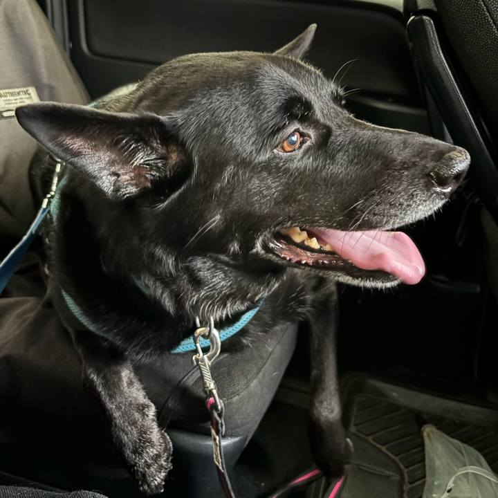 57cd7bc5 2bd3 40db 8486 f96d5b70b4fc 1754815565980