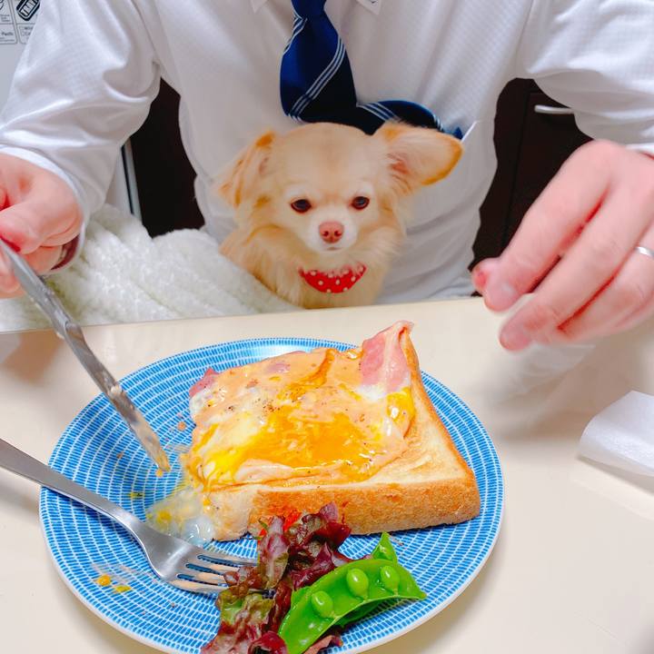 57cd90a0 40ba 43cf 9ba5 7dfa121704b6 1642631054558