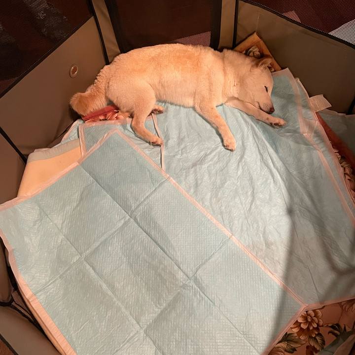 57cd999b 3dcc 4d58 9516 9133a3821566 1647615572982