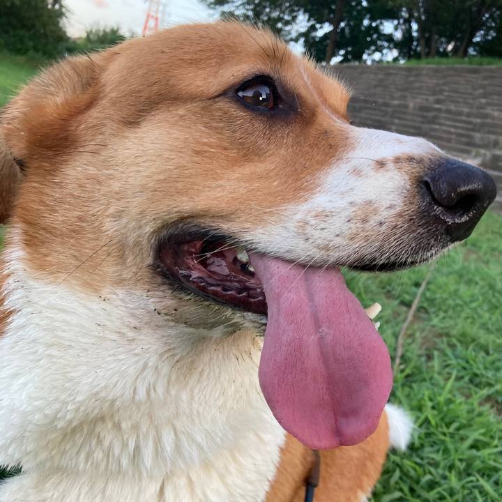 57cdc597 69ab 4315 bdc5 d660f8e08c1c 1693609078575