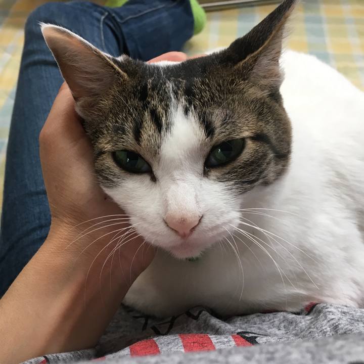 57cdeb61 3dbe 44d7 9b4e 41525ade40cb 1528687426996