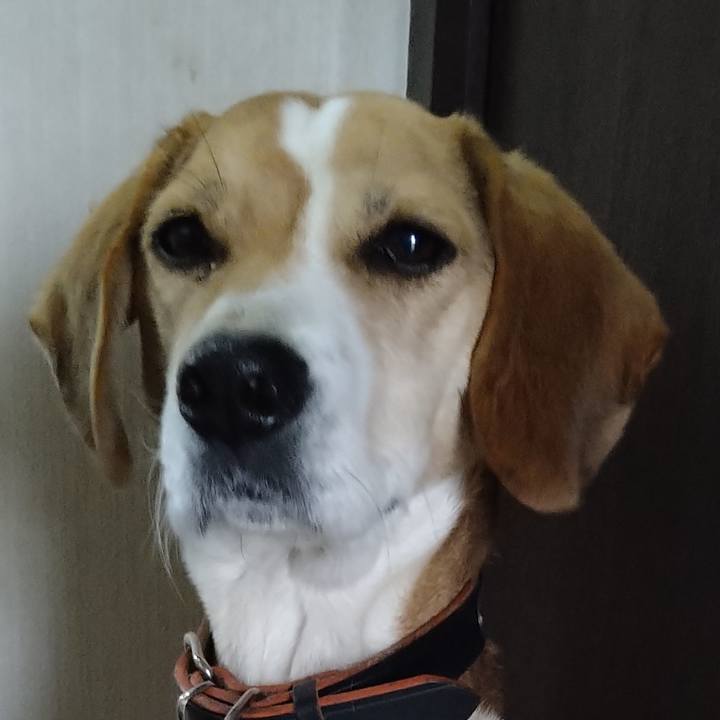 57ce4216 28b9 44a8 8852 2c3e00765932 1643204909768