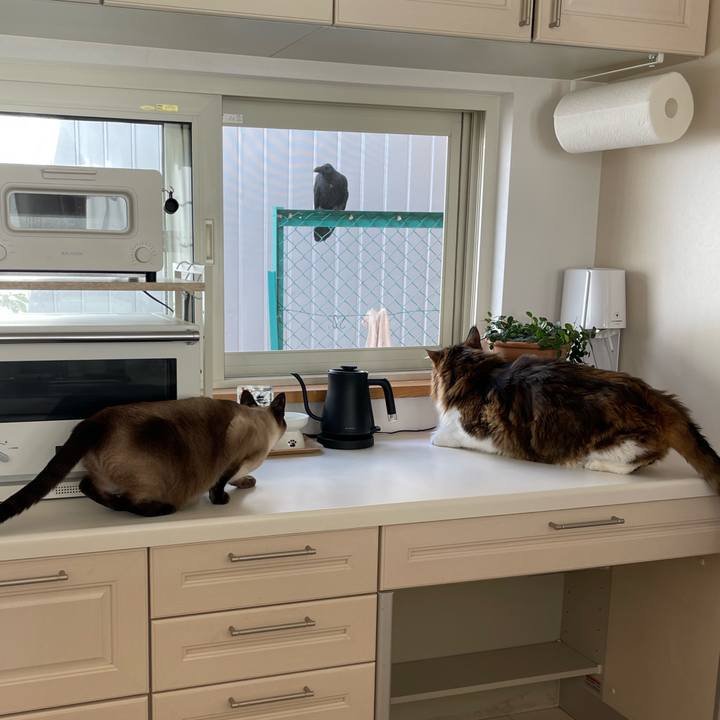 57ce604c f1a0 4832 b821 9b9ed3ad424a 1759266781622