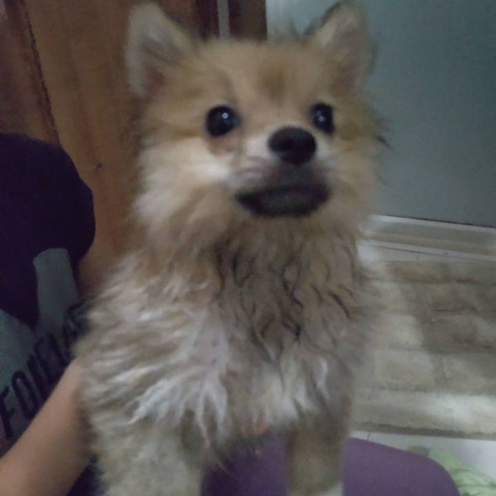 57ce74fd 9106 4c06 9b01 4b7148820af8 1722214119215