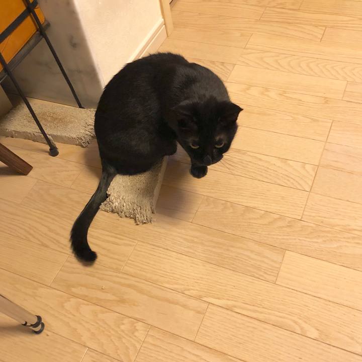 57ce7813 f8c1 4f3a a378 e9c8bb90c74b 1585312451049