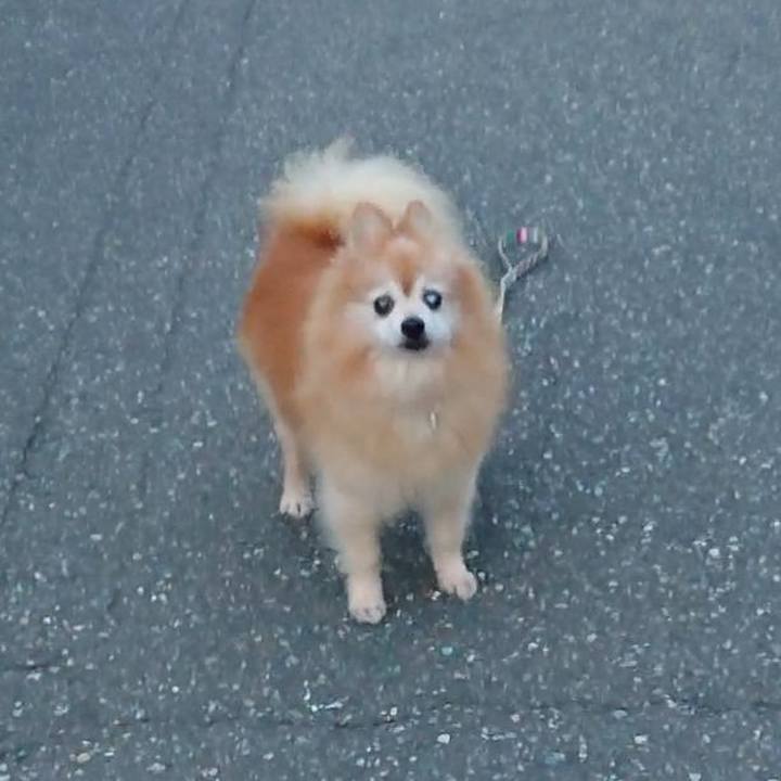 57cebb9c 826f 4dc2 94d5 c2ff7938baa2 1598179512792