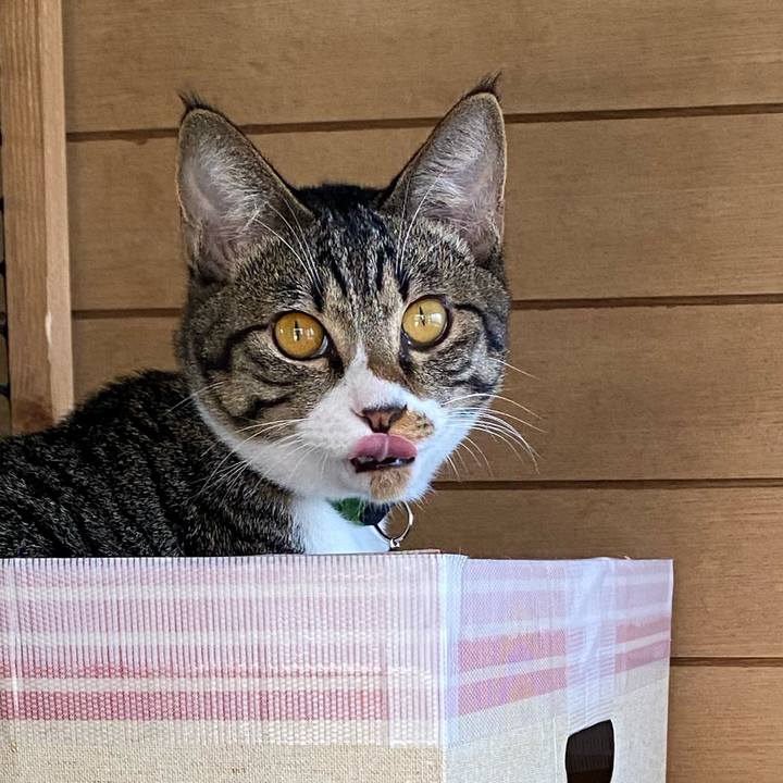 57ced324 19ed 439a be49 88121b201e44 1635382187152