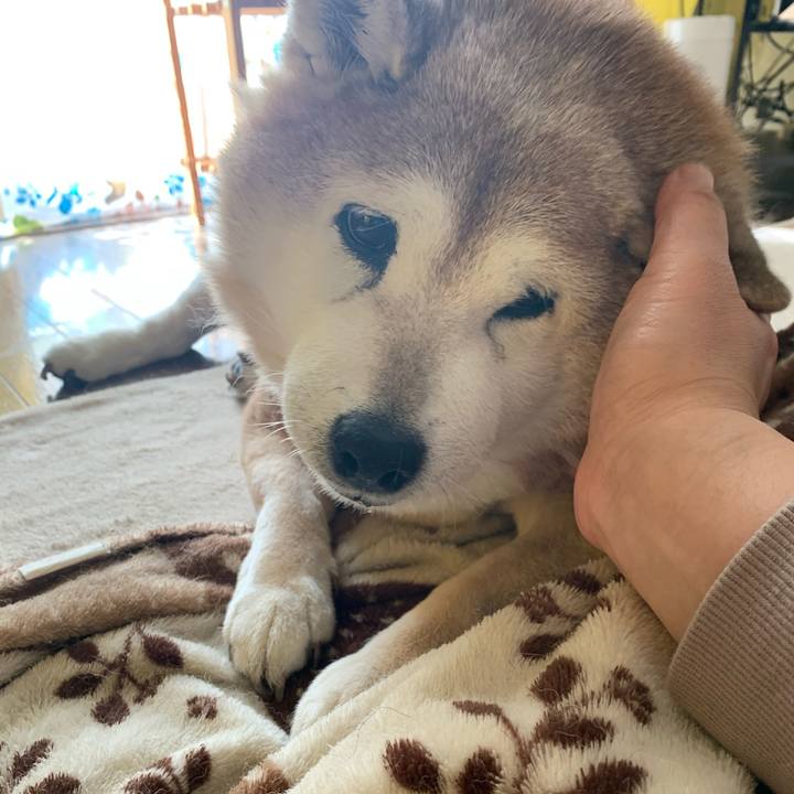 57ced9ef e330 402a 845b 5ead5db62792 1615457809570