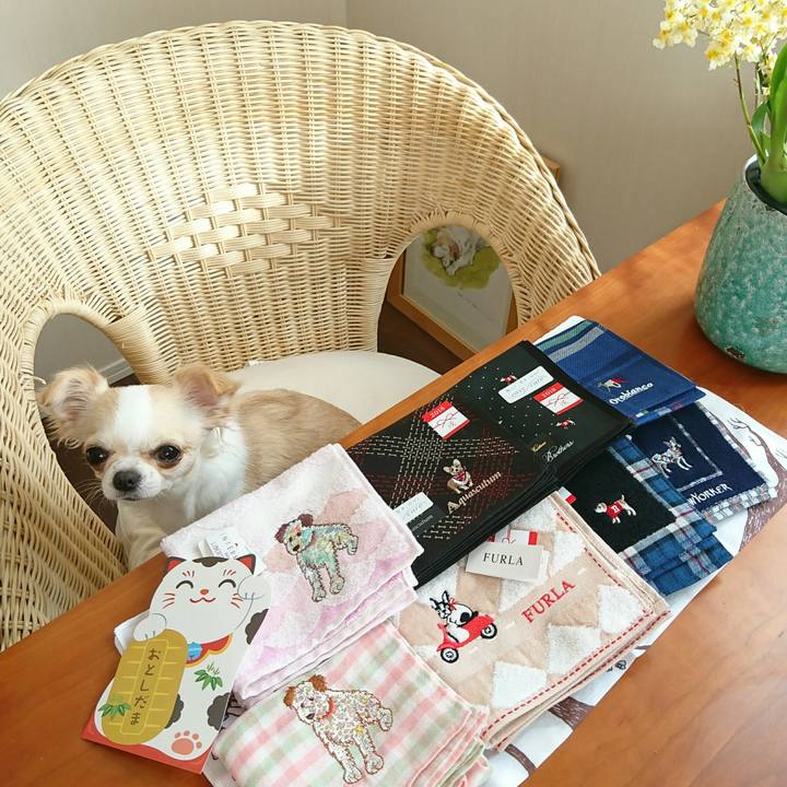 57cedeba 155a 486c a6f7 38fa773a5860 1513731352057