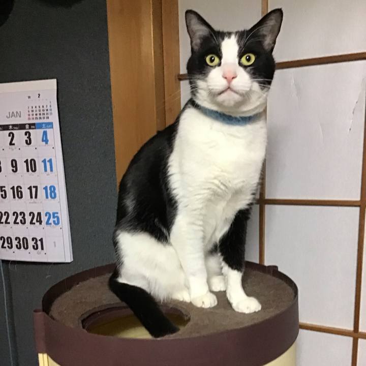 57cefaaa f351 48c6 8410 423708e87c89 1736502951560