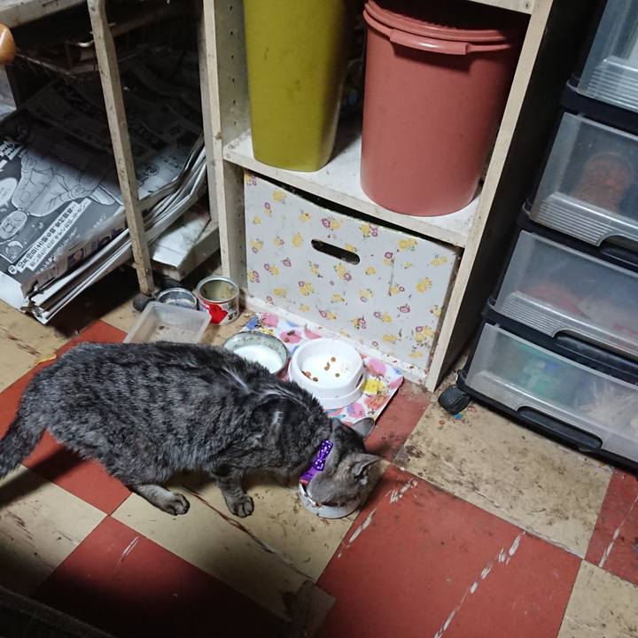 57cf0406 c2cc 4181 9867 c03888a214e0 1582750595610