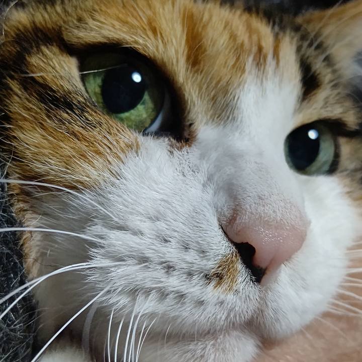 57cf12a9 934d 4008 ace3 e7e87cf8eb5e 1640959255288