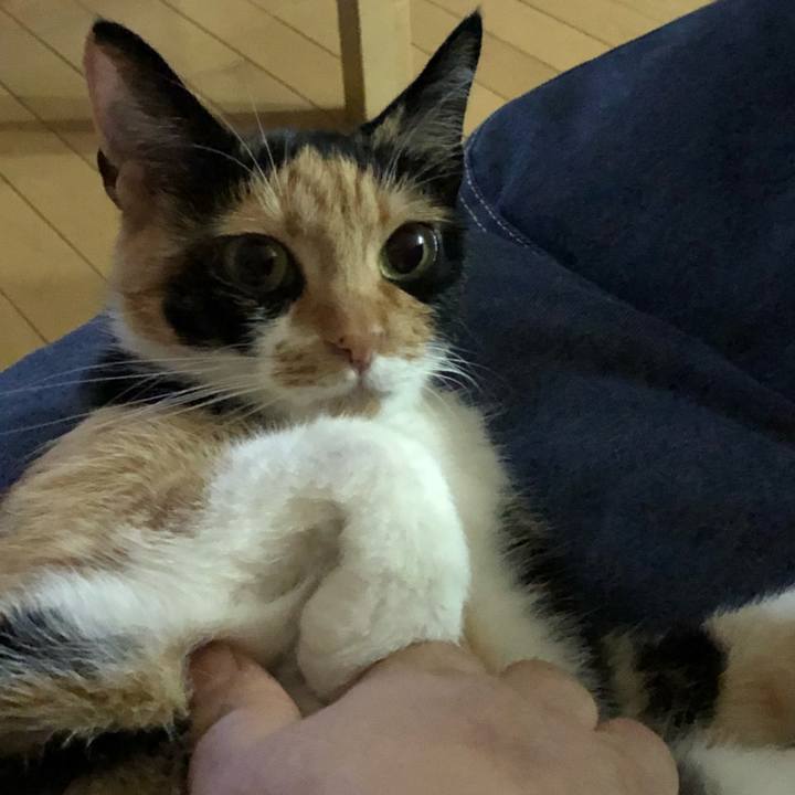 57cf9371 3b88 41ae 929d bad2e793c969 1530362426458