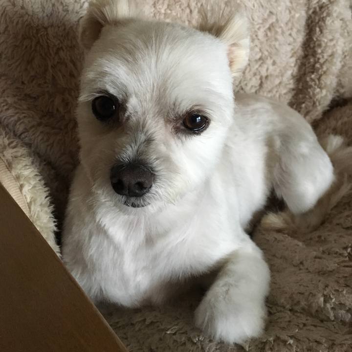 57cfa5d0 282e 498f b664 0ca1ac76568c 1541649843370