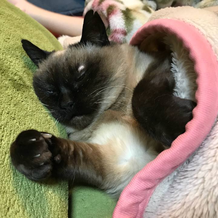 57cff9ce 97b0 4904 8bdc a71dec3ac6c0 1528900645758