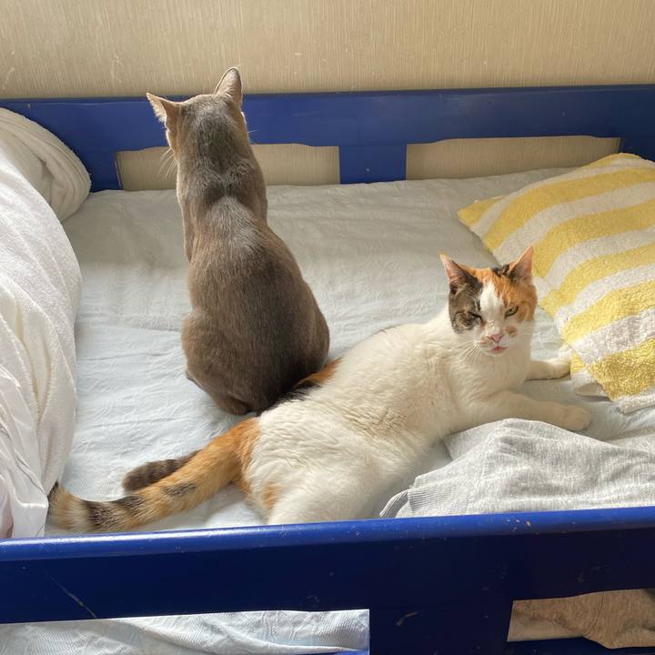 57d04212 b15d 4350 850d 1bdf5932888f 1589547690113