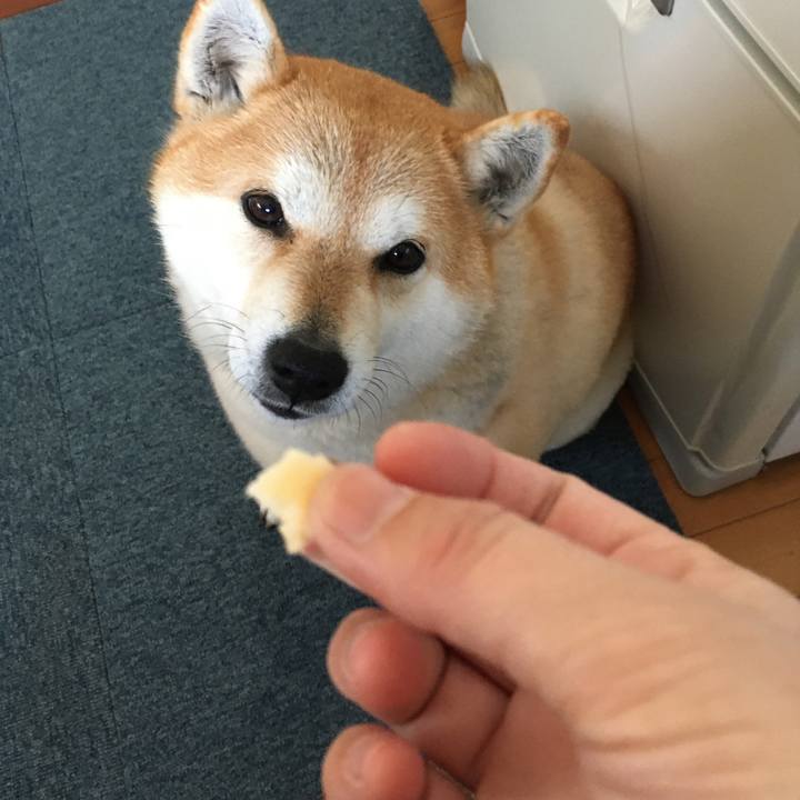 57d051ac d764 4186 887d 1cbca582a17a 1582941556716