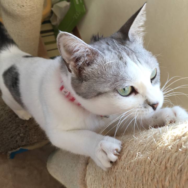 57d05a07 3569 4d4c ac76 a48d3684dabd 1513297550005