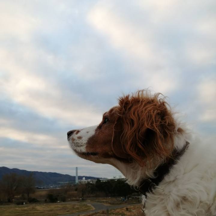 57d06720 b77d 4a0a 9fa4 995968833856 1611101668077